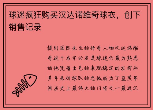 球迷疯狂购买汉达诺维奇球衣，创下销售记录